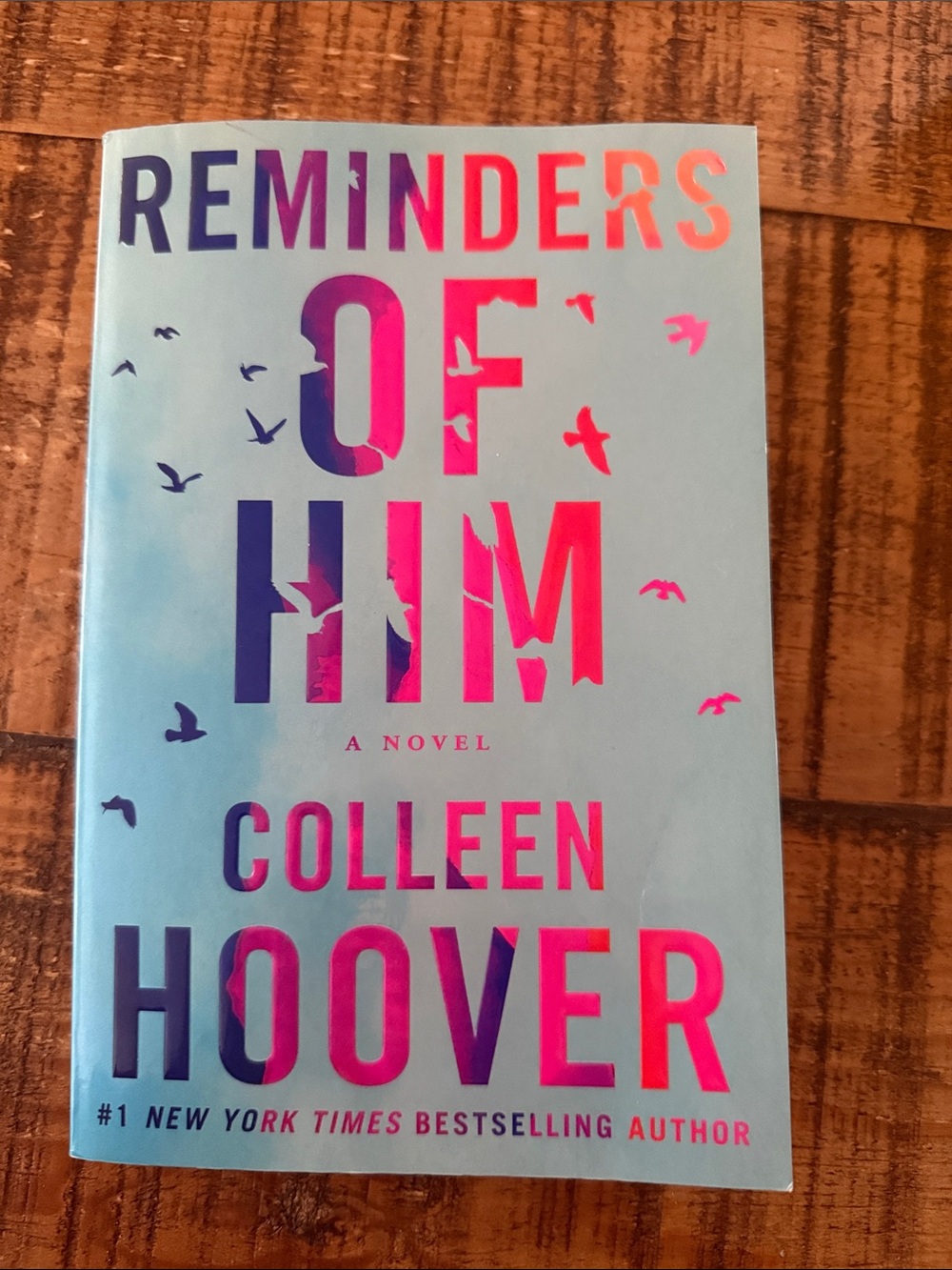 Reminders of Him - Blue and Pink Novel